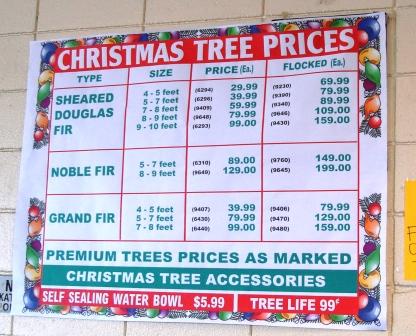Hilo Xmas tree prices